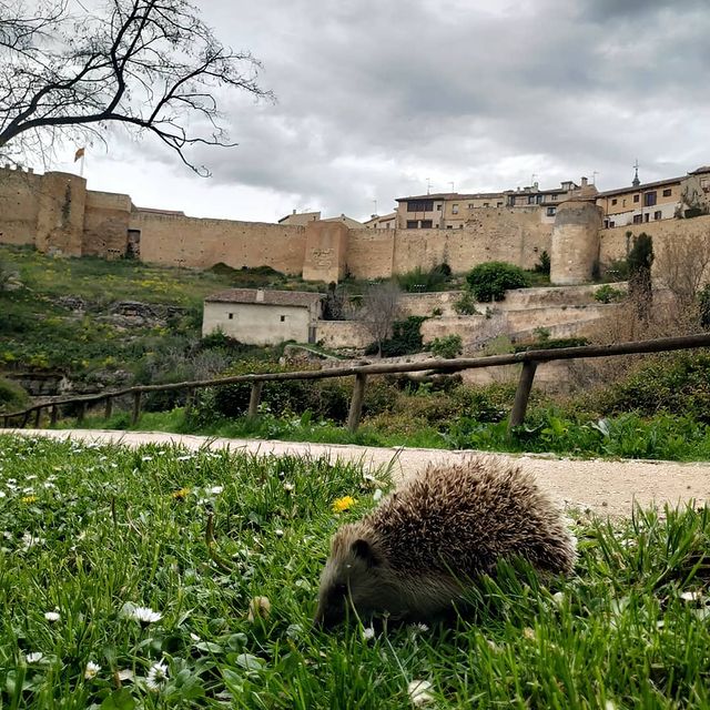 Muralla de Segovia desde el Valle del Clamores