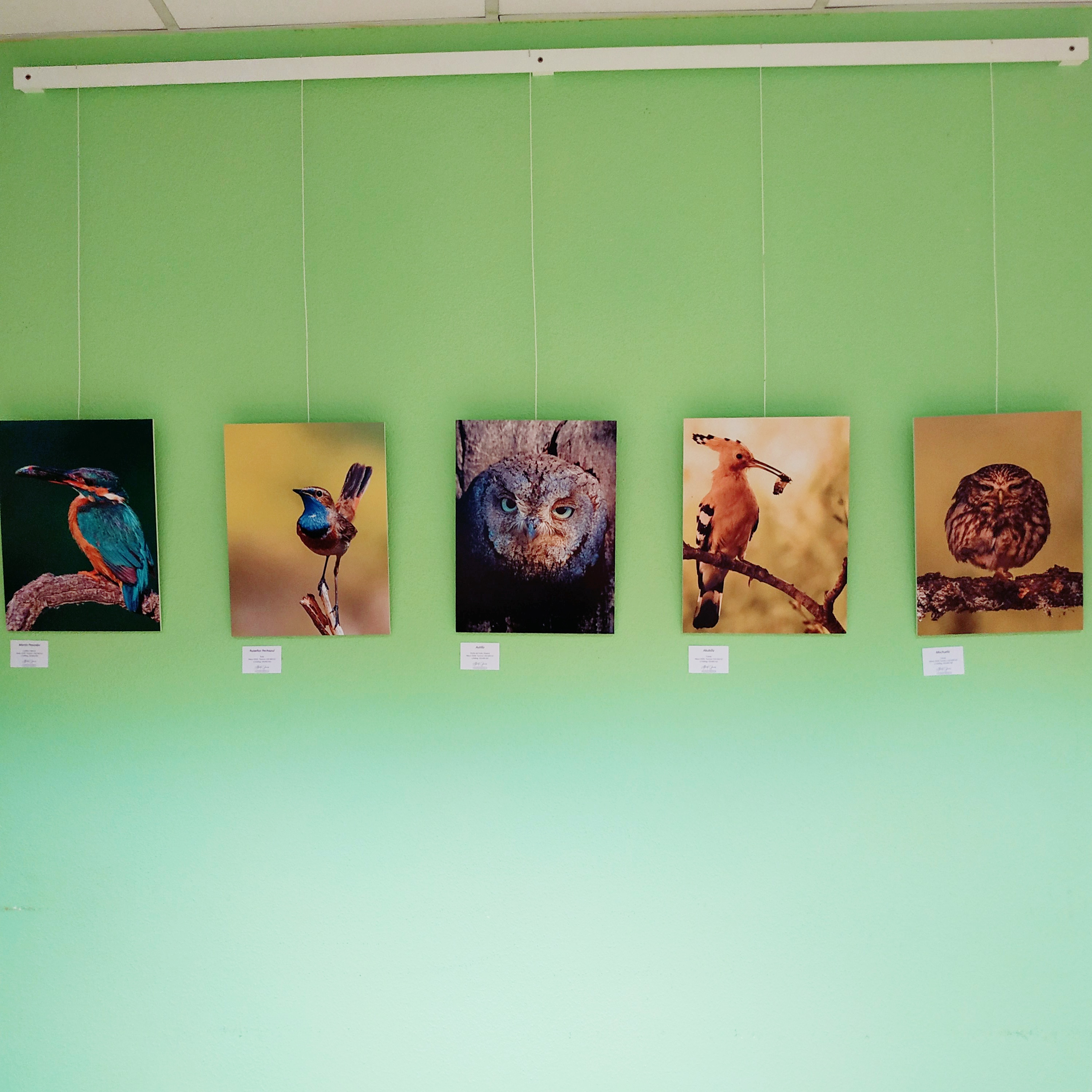 Exposición Dimensiones en la Casa Joven 3