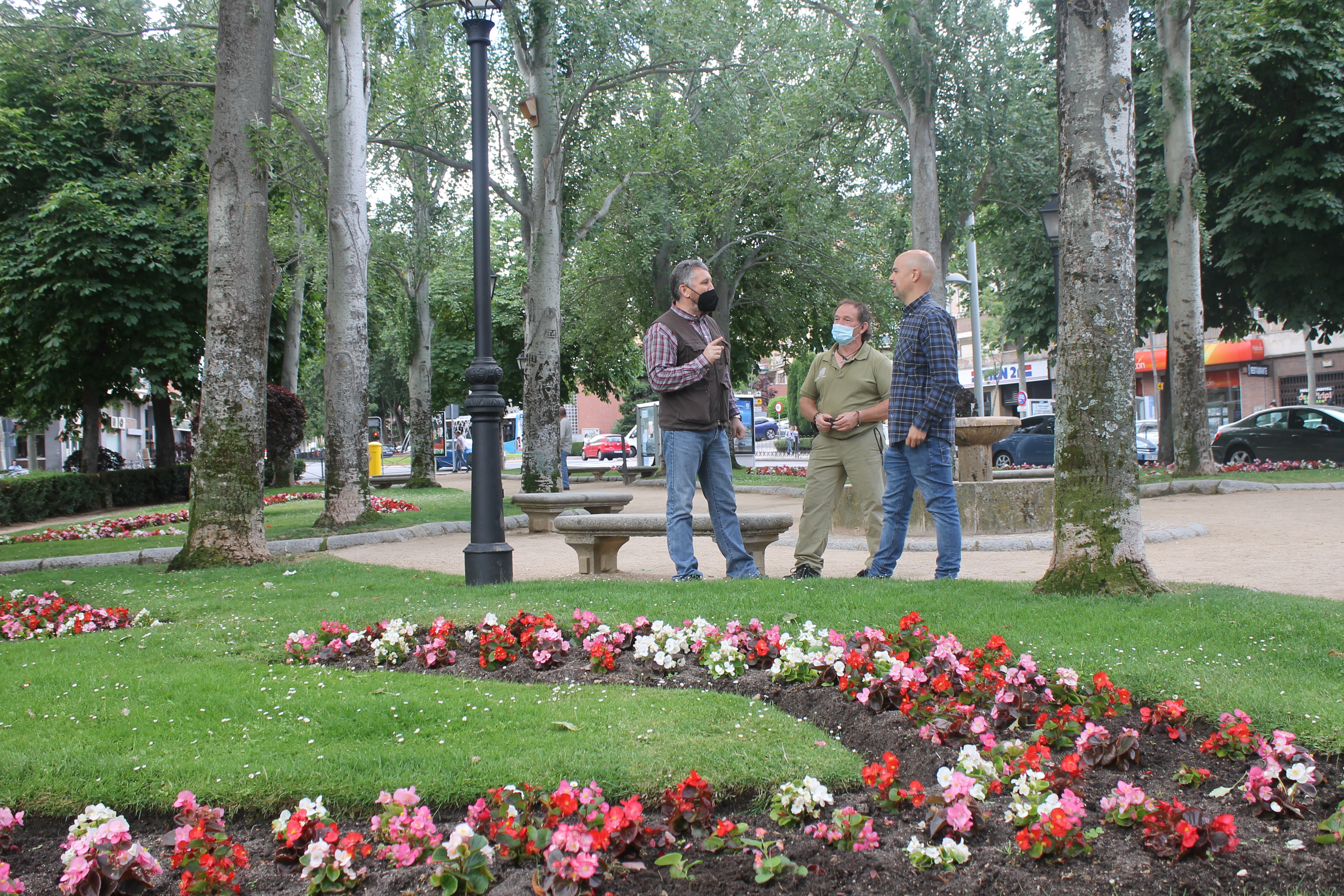El servicio de Parques y Jardines ha plantado un total de 12.400 ejemplares de flores, especies hortícolas y hierbas condimentarias (estas dos últimas en el Jardín Botánico y en San Millán).  Las especies de flores han sido seleccionadas teniendo en cuenta los espacios, el soleamiento y las características del suelo. En los jardines de la plaza Reina Victoria Eugenia (Alcázar) se han plantado más de 3.000 ejemplares de tagetes y geranios; en la Plaza de Artillería, más de 1.000 geranios rojos y 1.050 tagete