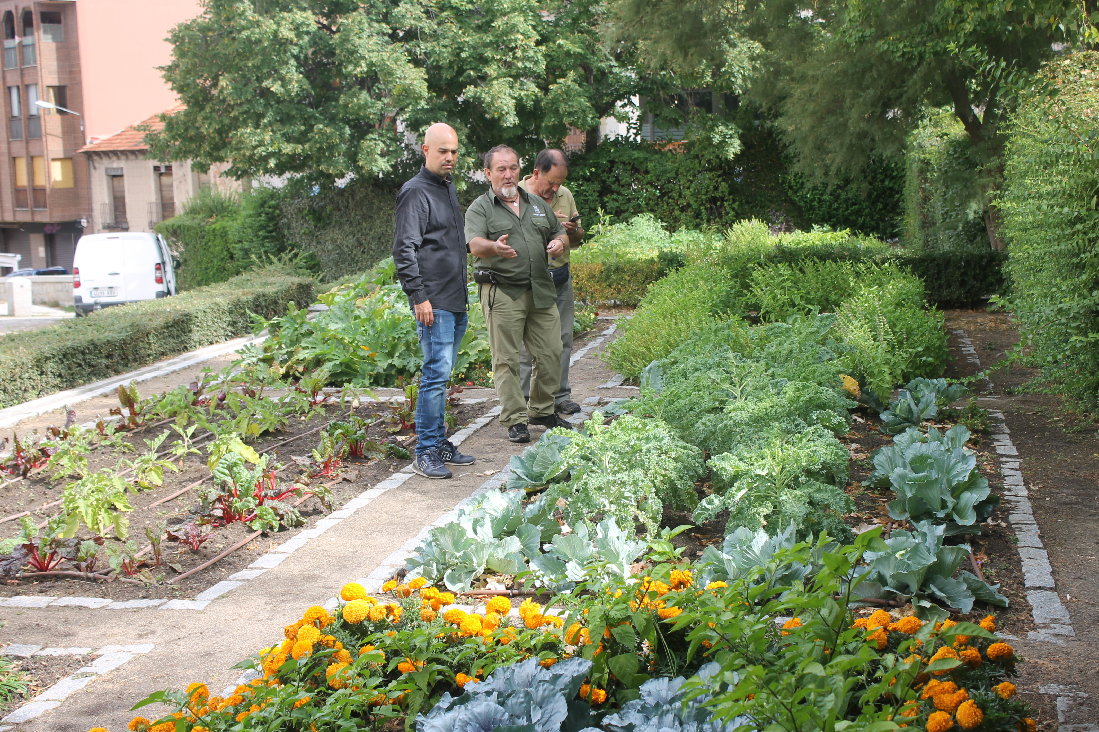 El Ayuntamiento de Segovia establece jardines horticolas