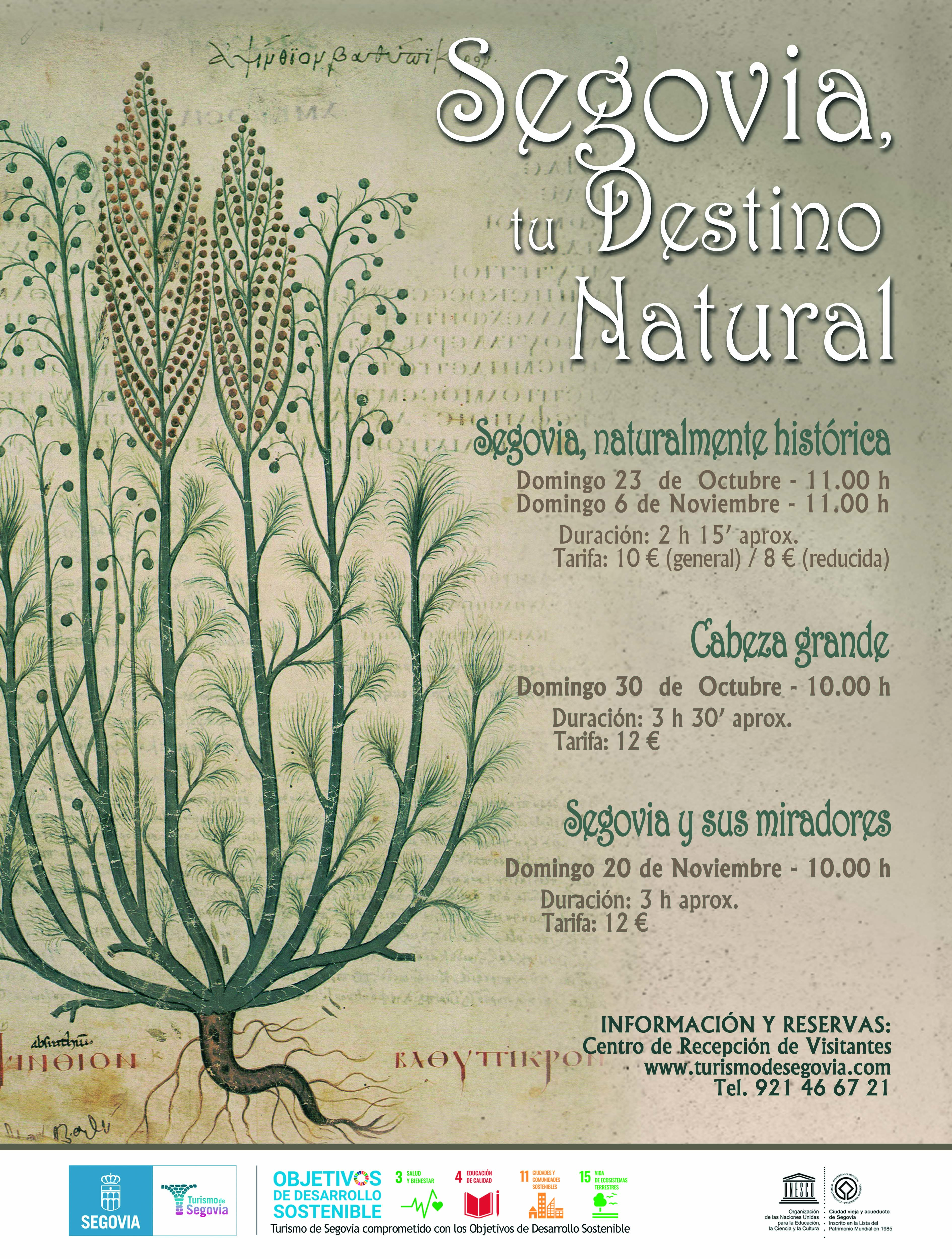 Cartel Segovia, tu Destino Natural