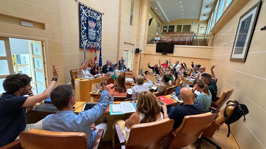 PLENO GENERAL 28 de julio