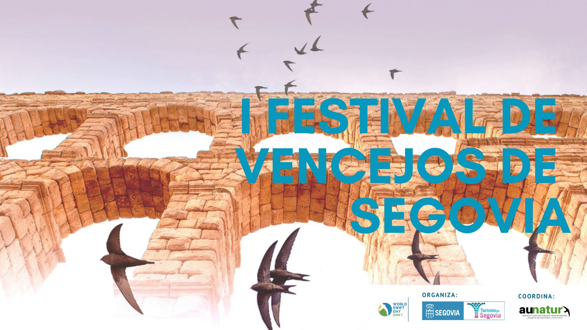 Cartel I Festival de Vencejos de Segovia 
