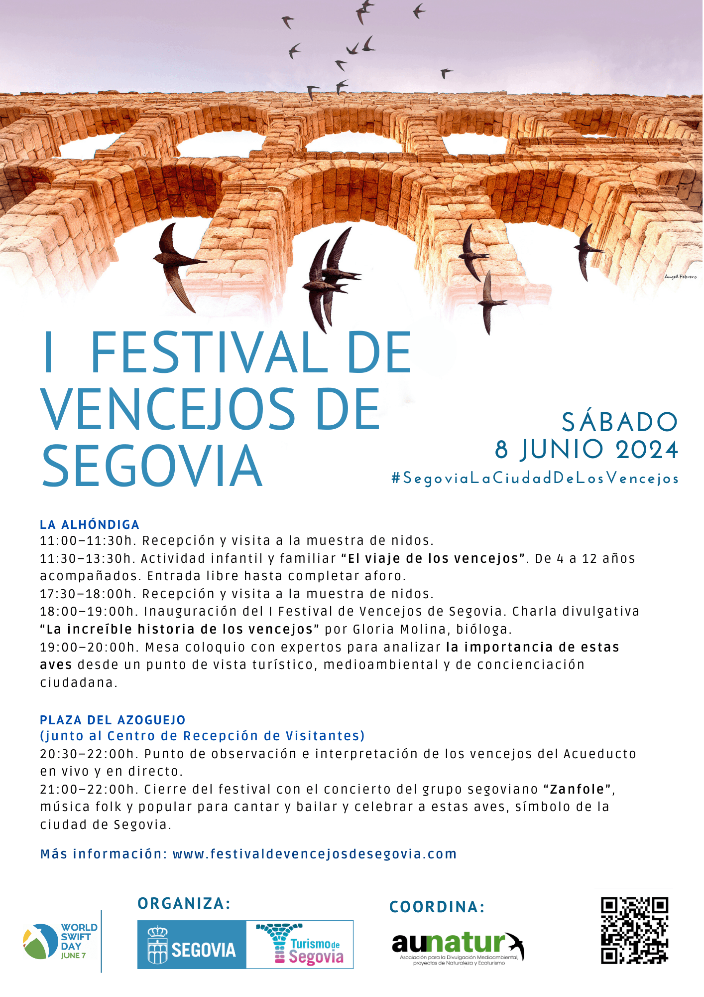 Cartel I Festival de Vencejos