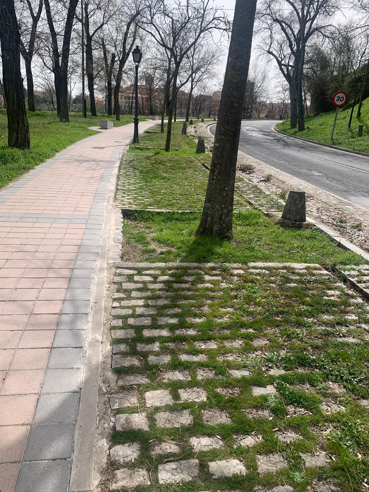 Gestión del Arbolado
