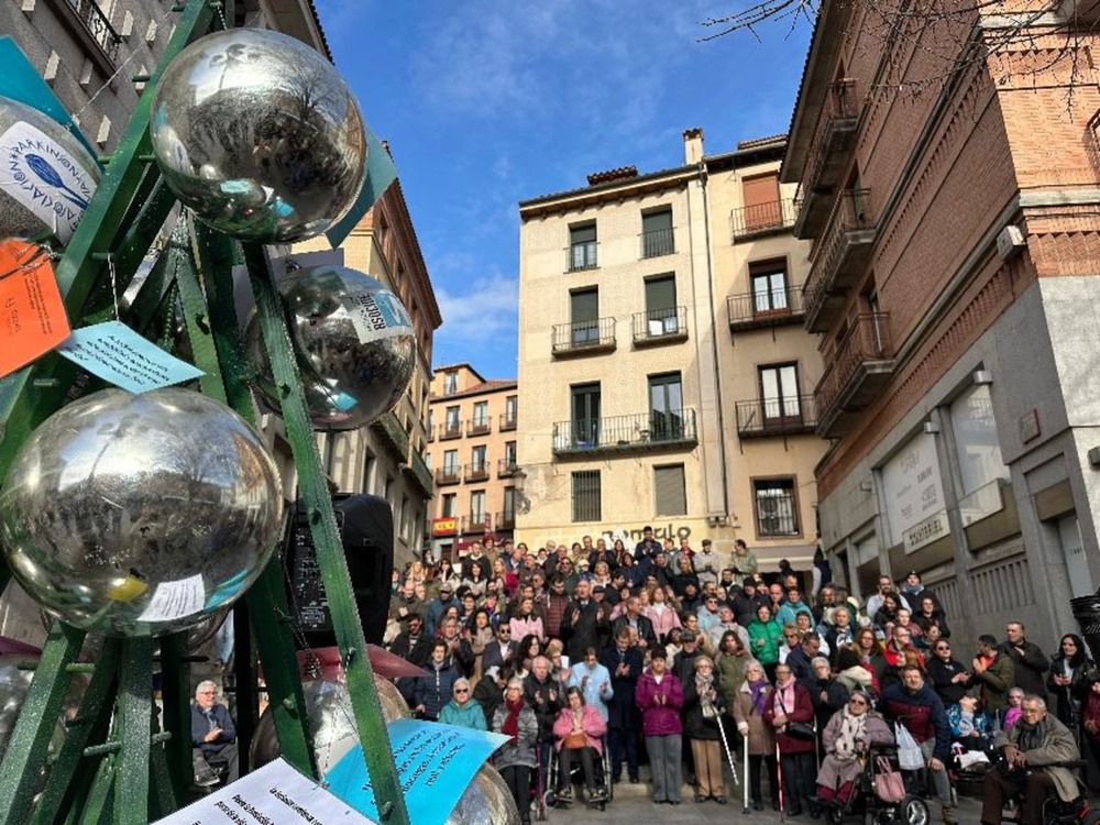 Dia de la Discapacidad 2024