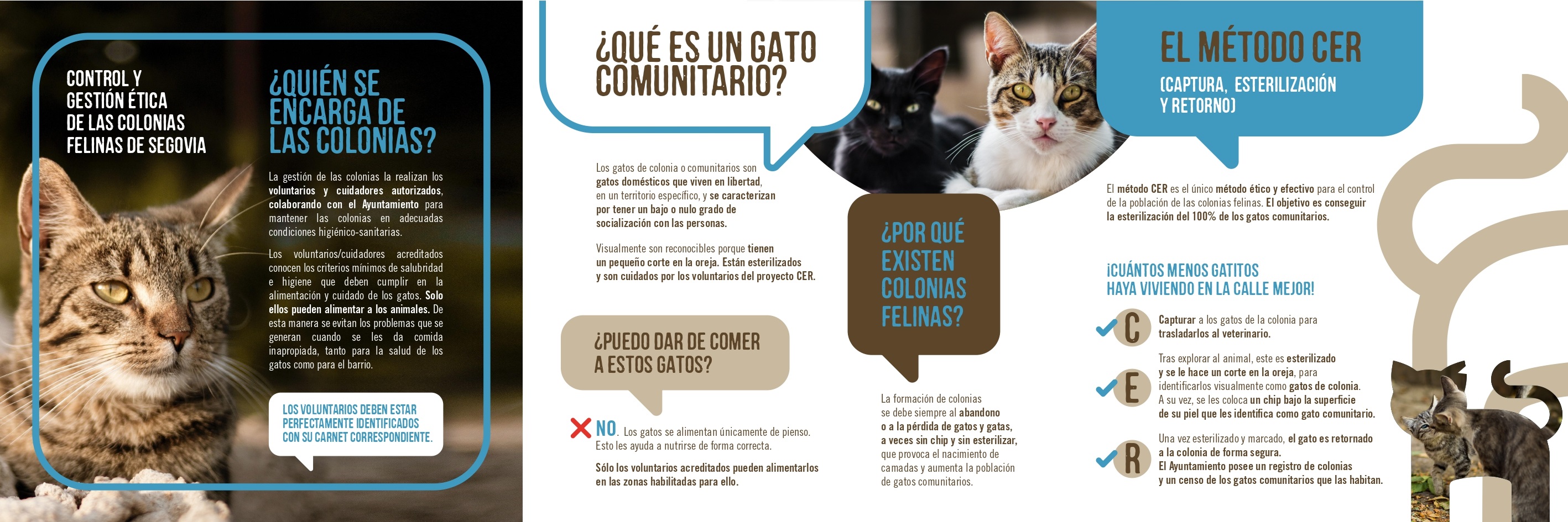 2. triptico colonias felinas