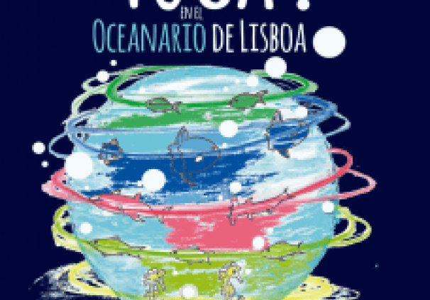 Fuga en el oceanario de LIsboa
