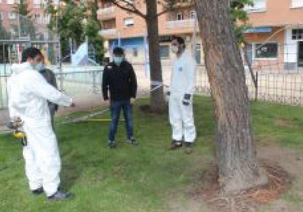2020-06-16 Comprobación estado arbolado El Peñascal2