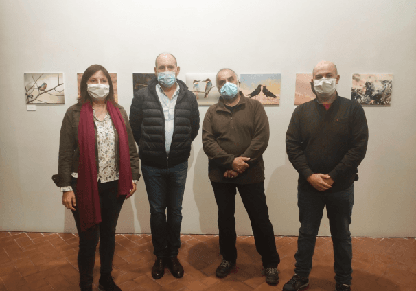 2020-10-21 Exposición aves