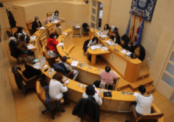 2020-10-27 Consejo sectorial de la Mujer.