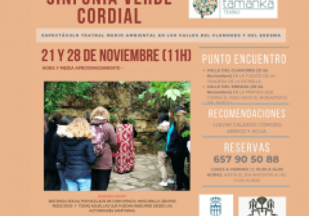 2020-11-17 Cartel Sinfonía Verde Cordia