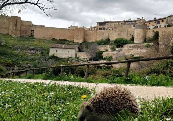 Muralla de Segovia desde el Valle del Clamores