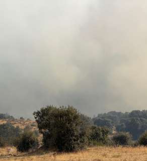 Incendio de Revenga