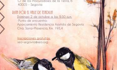Cartel 'Día de las Aves 2022'