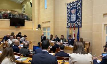 Pleno mes de febrero