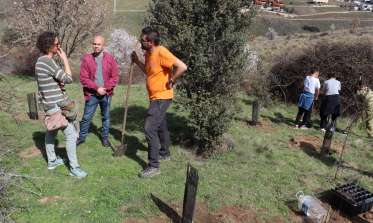Plantación colectiva en el Día Mundial del Árbol