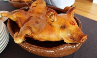 Cochinillo