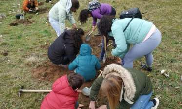 Plantación árboles 2024
