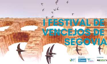 Cartel I Festival de Vencejos de Segovia