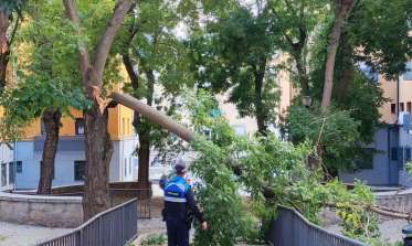 El viento de la borrasca Kirk provoca incidentes sin daños a personas en las calles de Segovia