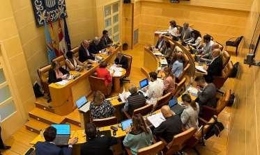 Pleno septiembre 2024