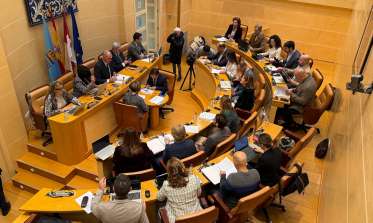 Pleno enero 2025