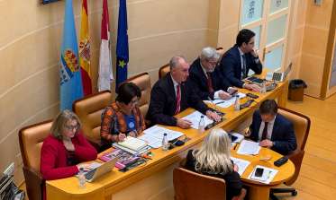 Pleno de febrero 2025