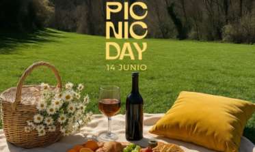 Cartel Segovia Picnic Day