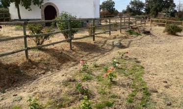 Acondicionamiento ermita de San Roque