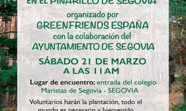 Cartel Día Internacional del Árbol