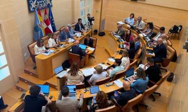 Pleno mayo 2026