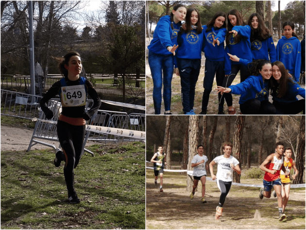 Varios en competiciones