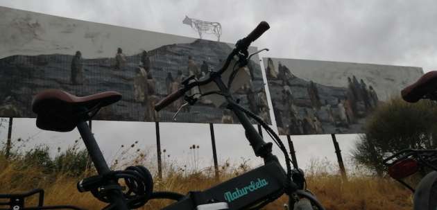INSURRECTA_BICIS