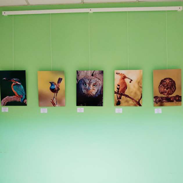 Exposición Dimensiones en la Casa Joven 3