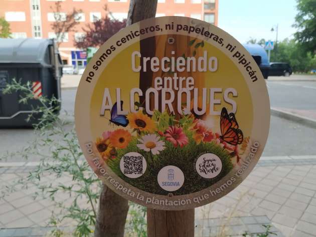 2022-07-23 Creciendo entre alcorques 