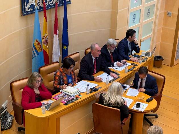 Pleno de febrero 2025