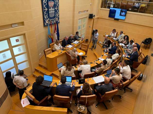Pleno mayo 2025