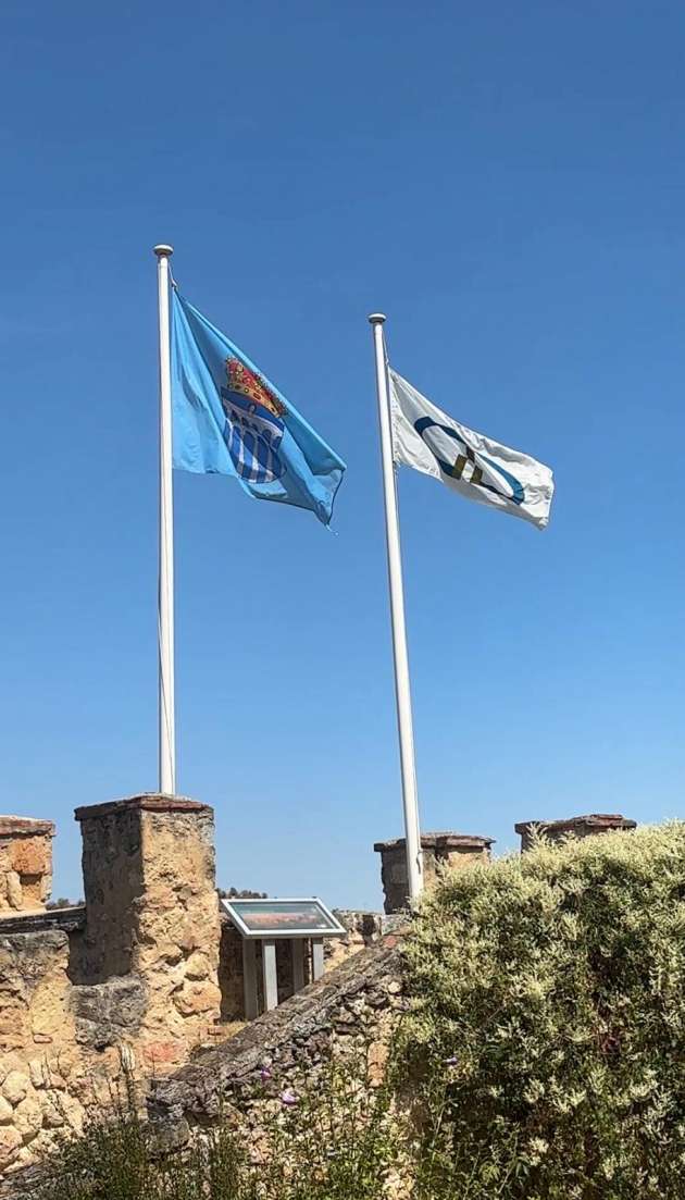 bandera ocmp ondeando