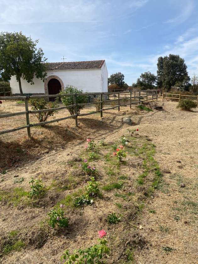 Acondicionamiento ermita de San Roque