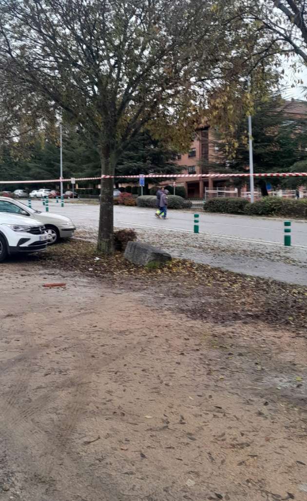 zona de biodiversidad en la avenida Gerardo Diego